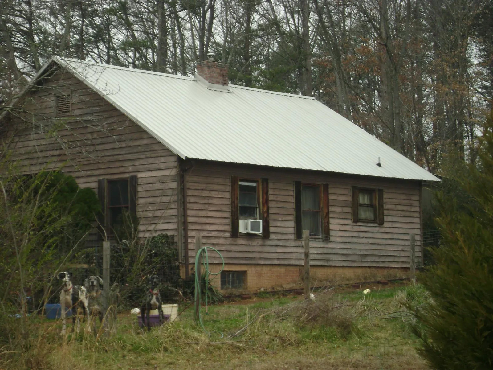 White metal roof on an old wood sided farmhouse, from a Asphalt Shingle Roof Repair job in Paul